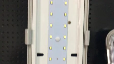 Фиксированный светильник 0,6 м 1,2 м 1,5 м Светодиодный светильник Водонепроницаемый корпус прожектора с тройным защищенным туннельным светильником